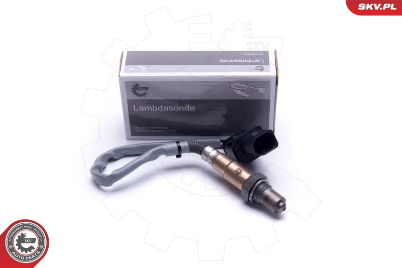 Oxygen Sensor